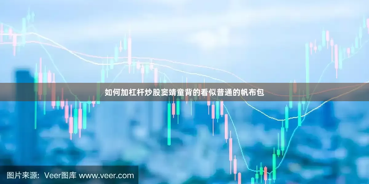 如何加杠杆炒股窦靖童背的看似普通的帆布包