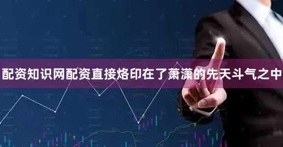 配资知识网配资直接烙印在了萧潇的先天斗气之中