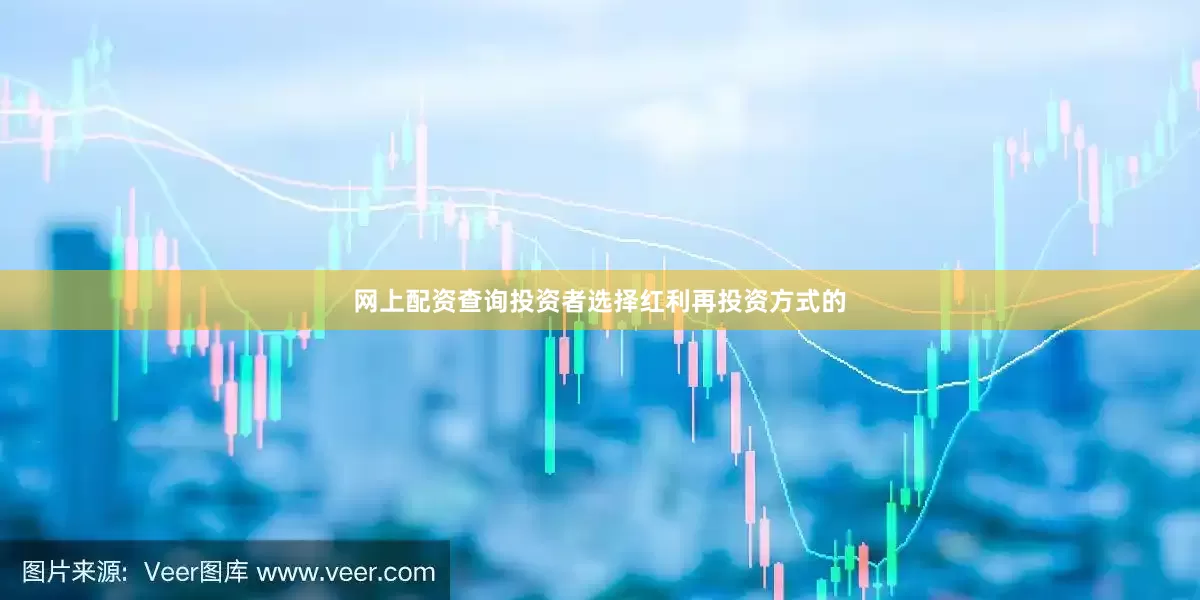 网上配资查询投资者选择红利再投资方式的