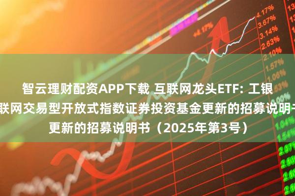 智云理财配资APP下载 互联网龙头ETF: 工银瑞信中证沪港深互联网交易型开放式指数证券投资基金更新的招募说明书（2025年第3号）